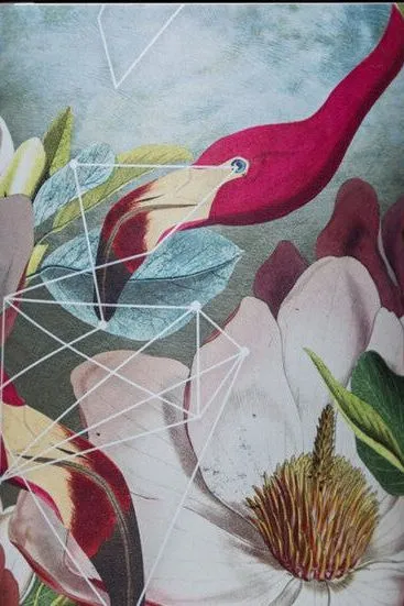 Pepita Coffee | Artwork by Alexandra Gallagher